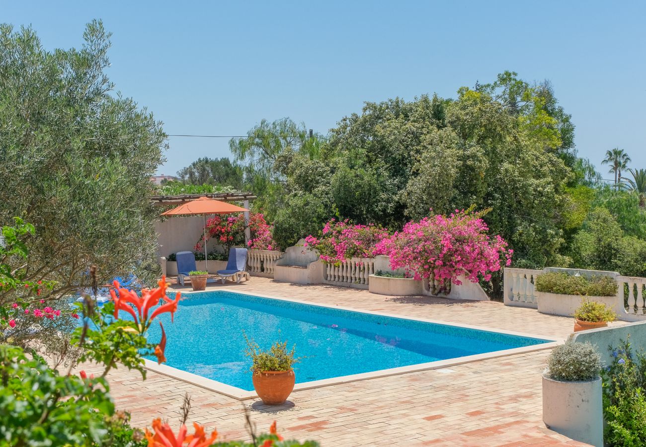 Villa in Lagos - Casa das Flores