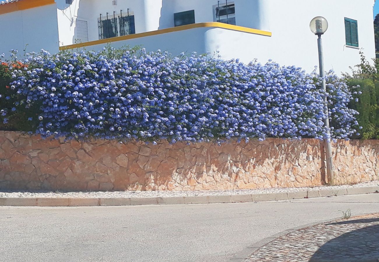 Villa in Luz - Casa Rosa Floresta (ML 7H)