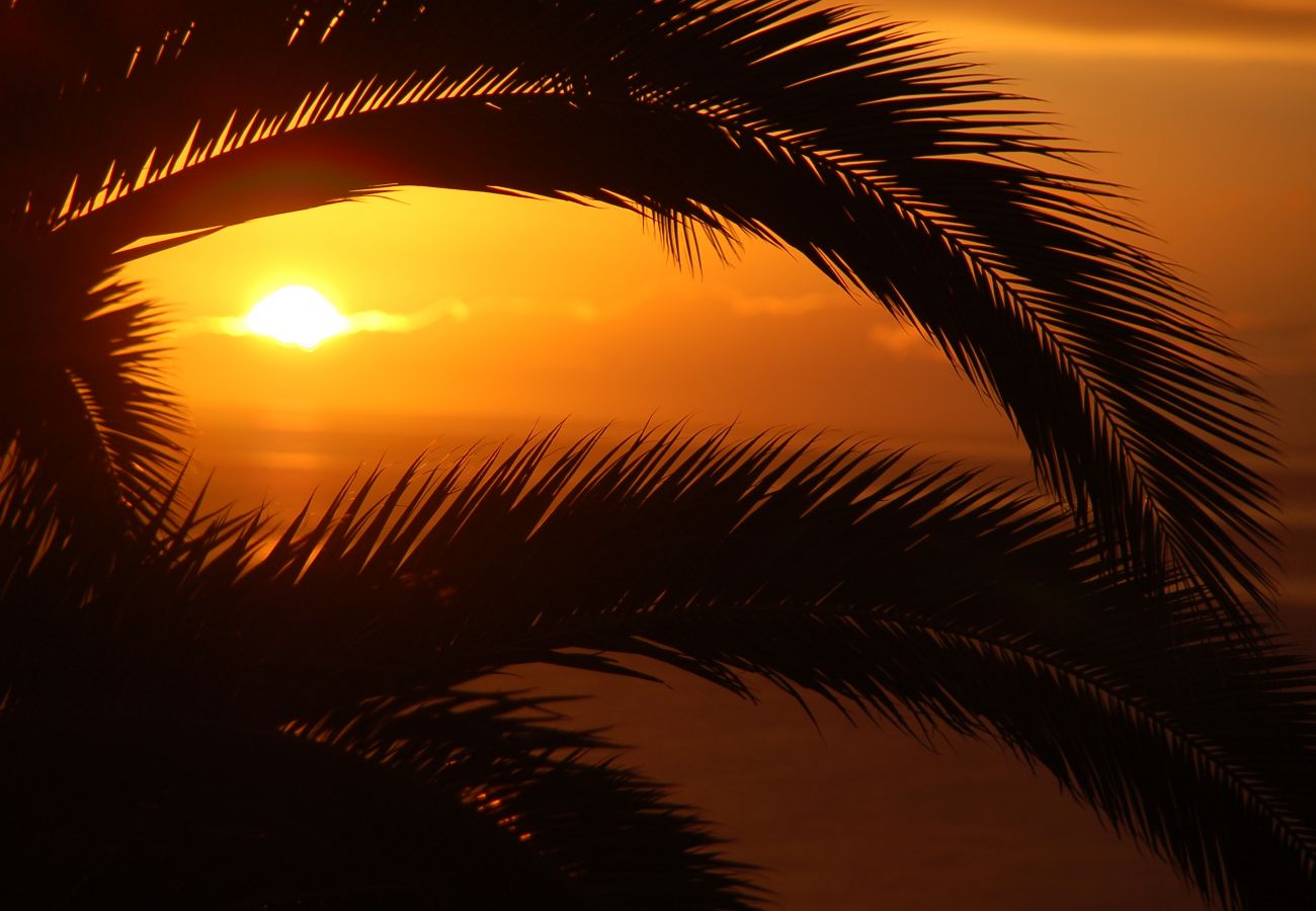 Villa Sorriso Praia da Luz