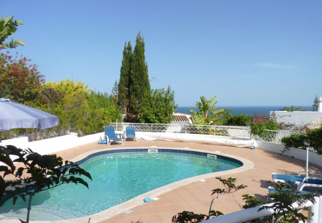Villa in Luz - Casa Lontra Villa in Luz - Casa Lontra