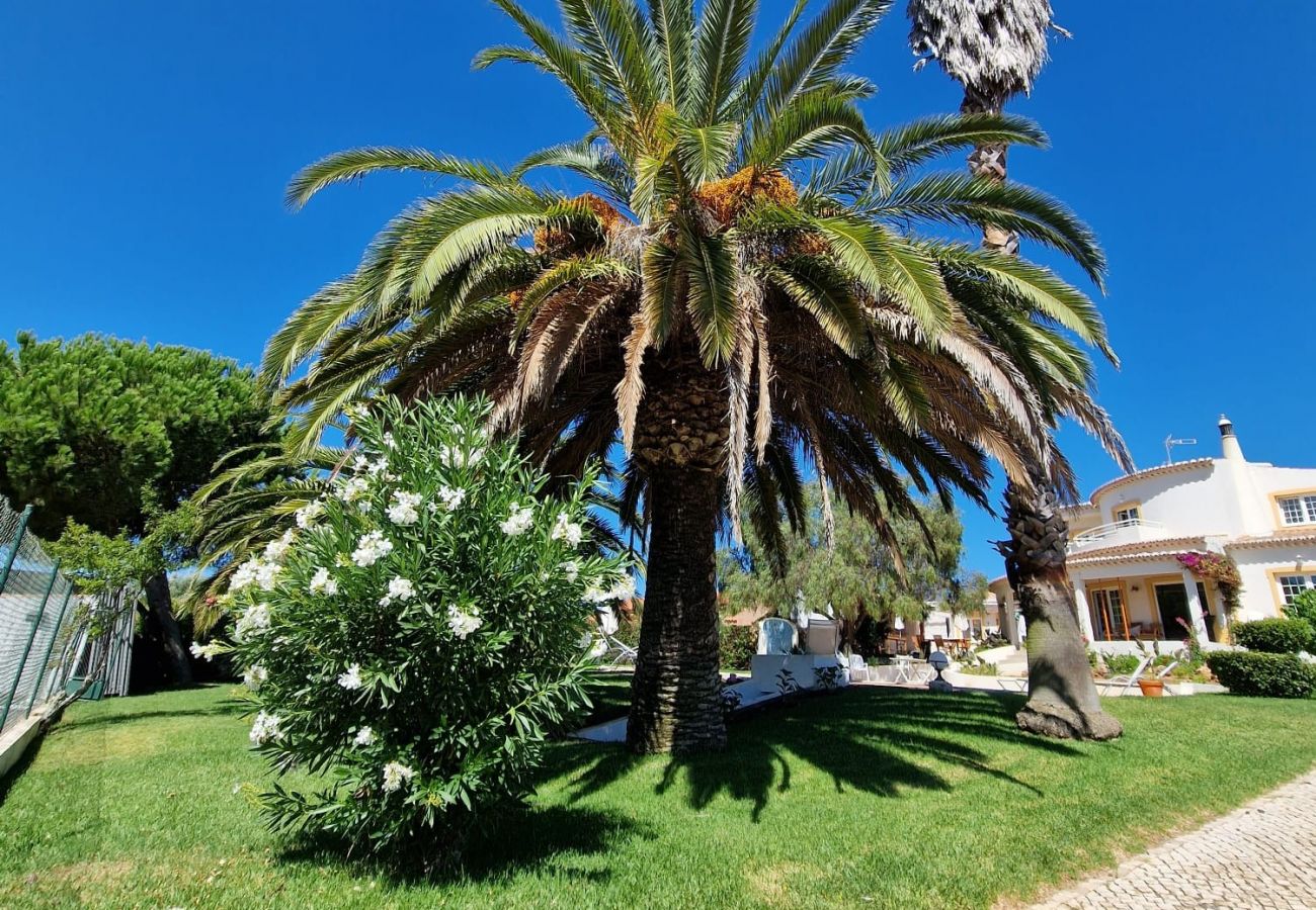 Country house in Bensafrim - Casa da Aldeia