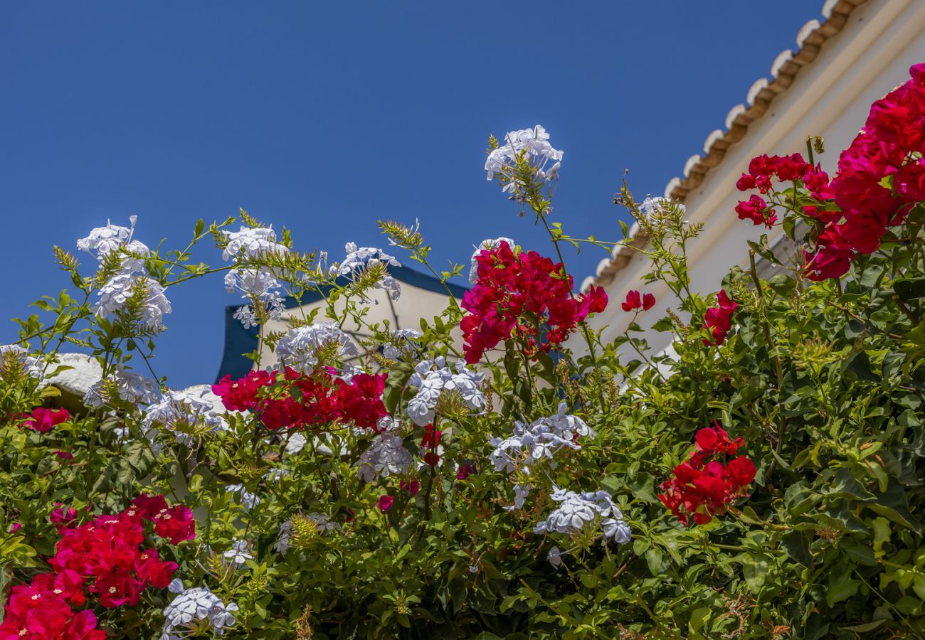 Villa in Luz - Quinta do Verão