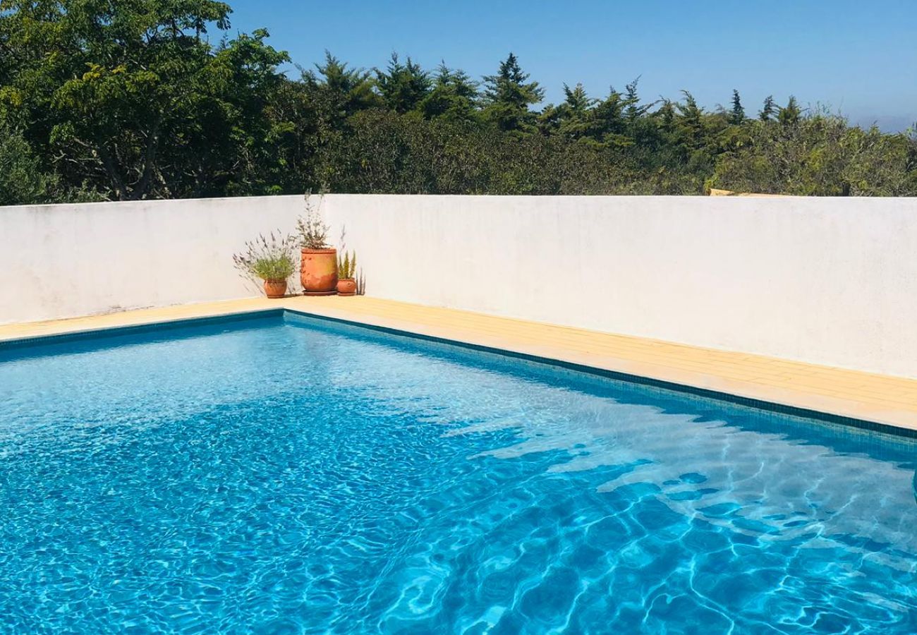 Villa in Luz - Casa Mandala